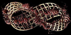 L'Anello di Moebius secondo Escher